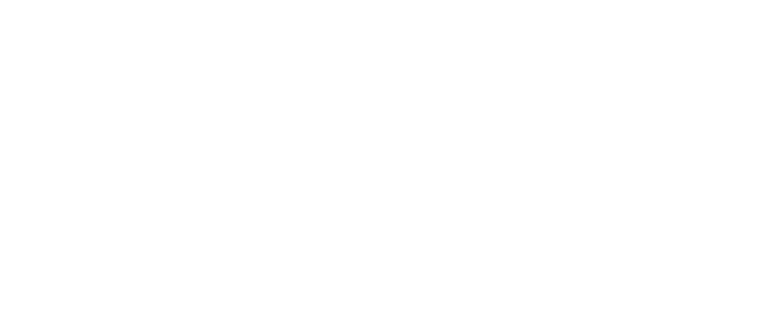 logo-image